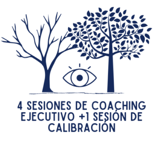 4 Sesiones de Coaching Ejecutivo nivel Senior + 1 Sesión de Calibración