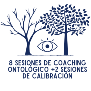 8 Sesiones de Coaching Ontológico Senior + 2 Sesiones de calibración